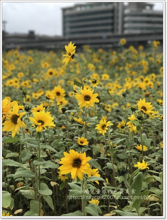 IMG_1240.JPG IMG_1240.JPG