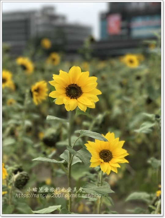 IMG_1243.JPG IMG_1243.JPG