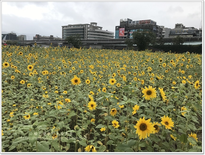 IMG_1267.JPG IMG_1267.JPG