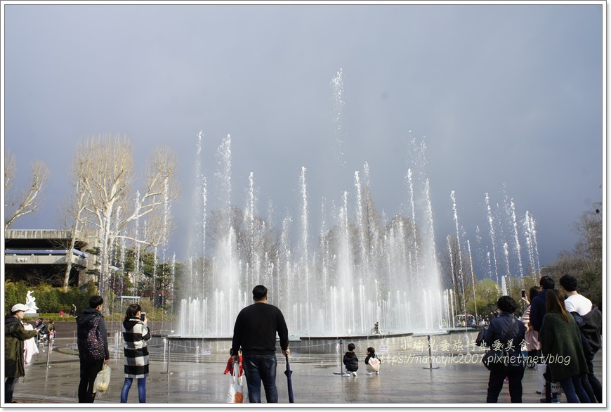 _DSC9121.JPG _DSC9121.JPG