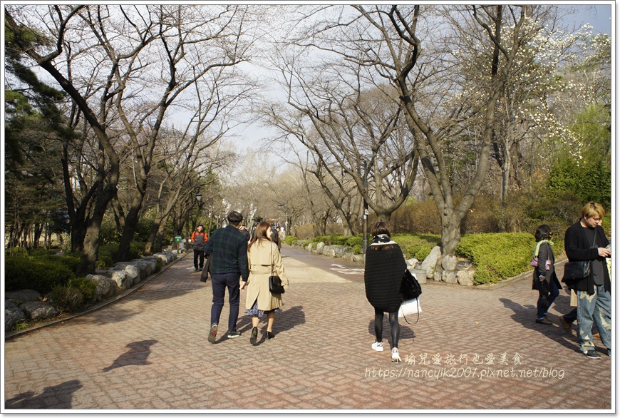 _DSC9123.JPG _DSC9123.JPG