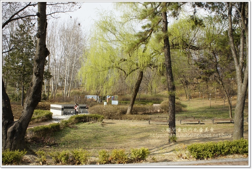 _DSC9128.JPG _DSC9128.JPG