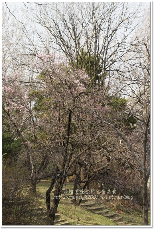 _DSC9131.JPG _DSC9131.JPG