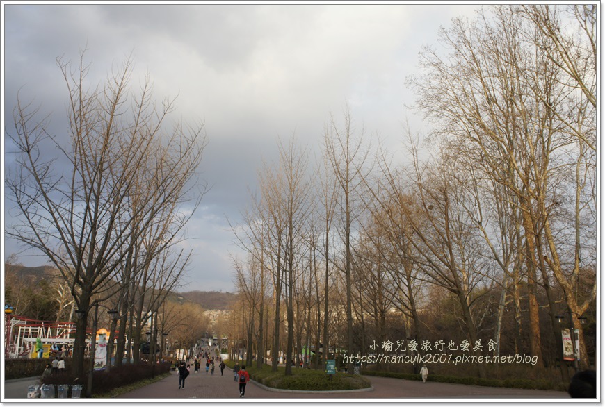 _DSC9151.JPG _DSC9151.JPG