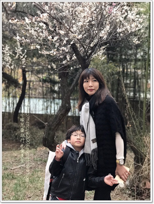 IMG_3177.JPG IMG_3177.JPG