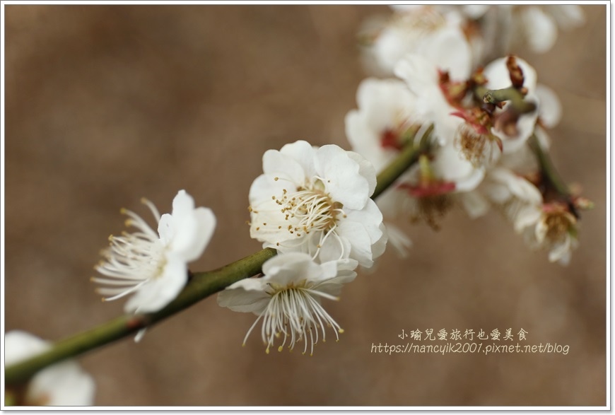 IMG_3444.JPG IMG_3444.JPG