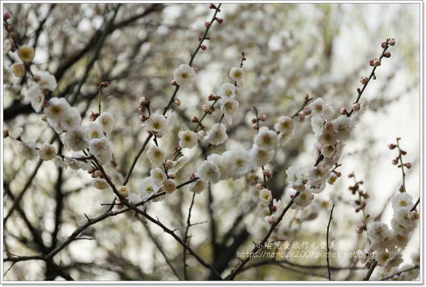 IMG_3440.JPG IMG_3440.JPG