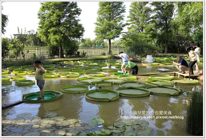 20170806蓮荷園