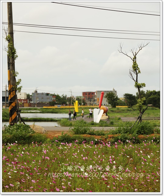 桃園彩色海芋14