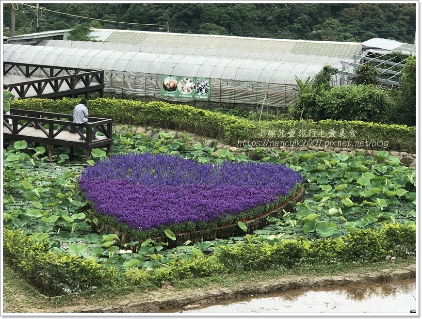 IMG_0026.JPG IMG_0026.JPG