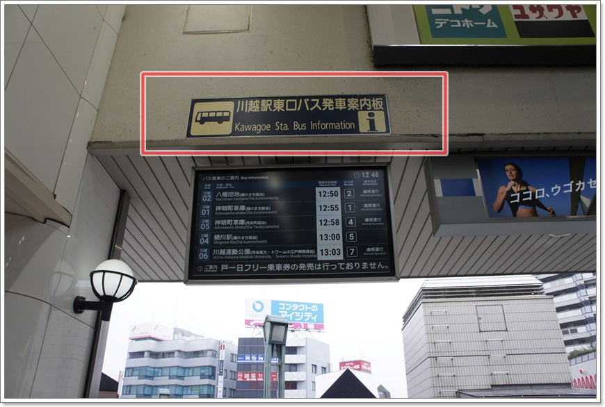 _DSC0489.JPG _DSC0489.JPG