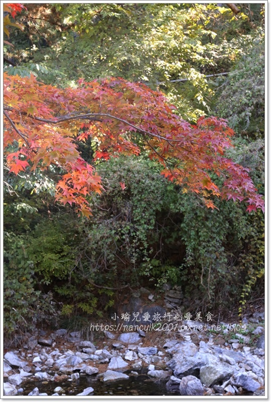 晨靜樹木園