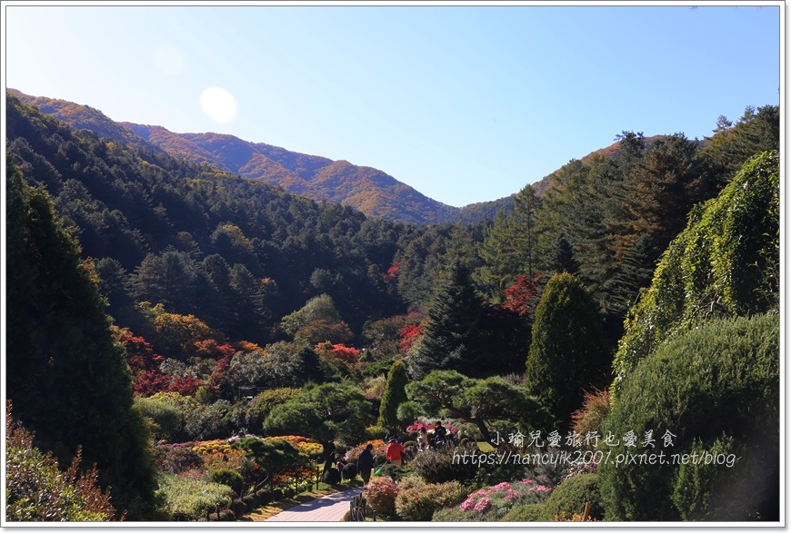 晨靜樹木園