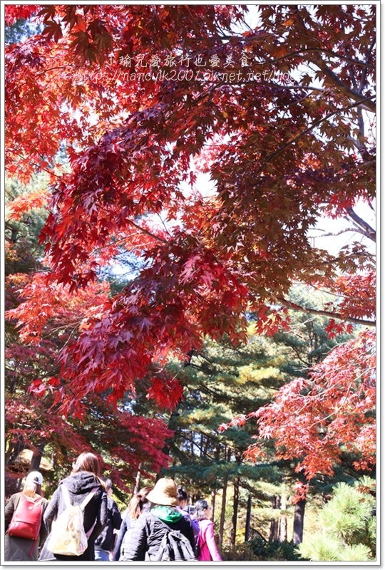 晨靜樹木園