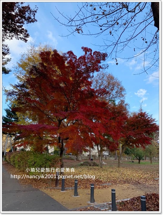 【日本】山形市區便利交通工具 / 小紅巴士東圈・西圈 / 百