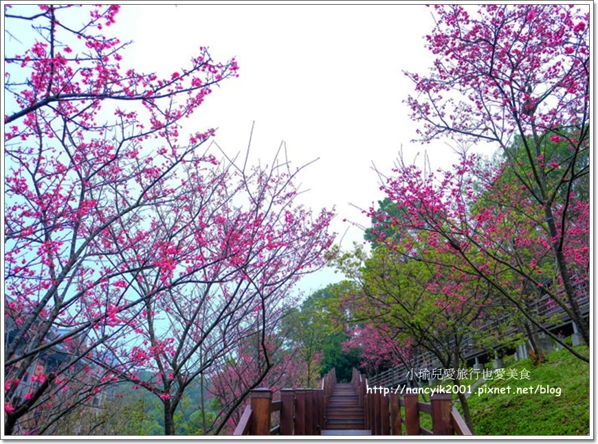 長庚養生文化村1