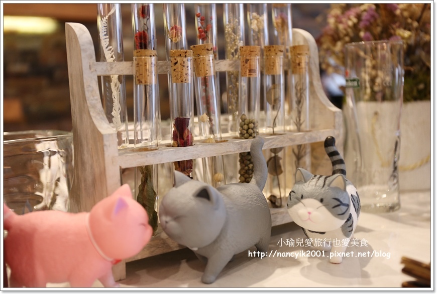 20190302GATTINO12 20190302GATTINO12