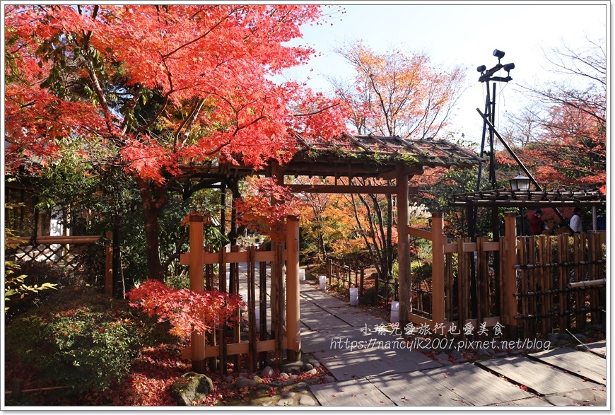 【日本東北自由行】松島 / 圓通院(円通院) 賞楓名所 (附