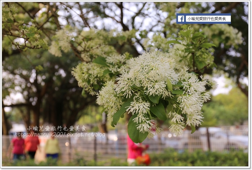 20190404大湖紀念公園