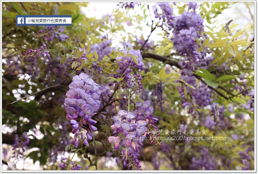 20190404大湖紀念公園