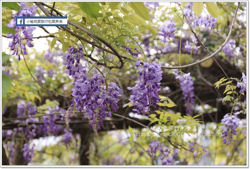 20190404大湖紀念公園