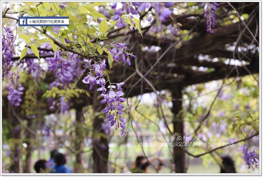 20190404大湖紀念公園