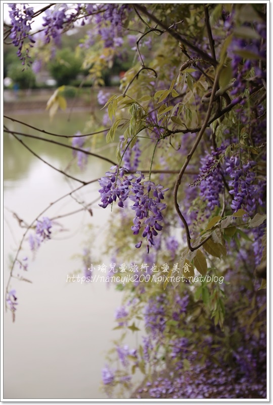 20190404大湖紀念公園