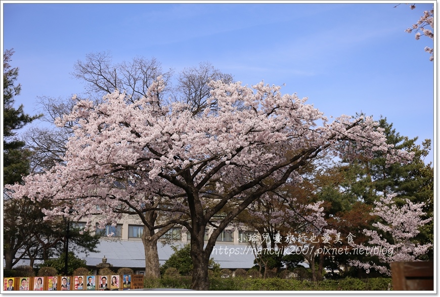 【日本】山形縣霞城公園 / 東北賞櫻勝地推薦 / 文末附上山