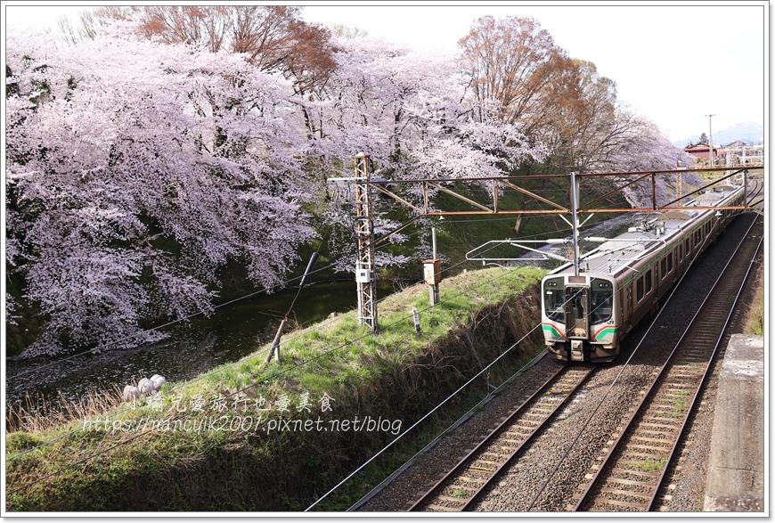 【日本】山形縣霞城公園 / 東北賞櫻勝地推薦 / 文末附上山