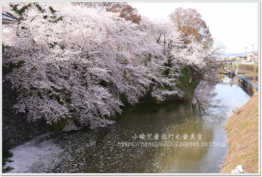 【日本】山形縣霞城公園 / 東北賞櫻勝地推薦 / 文末附上山