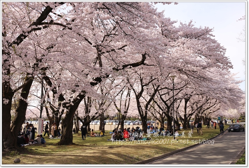 【日本】山形縣霞城公園 / 東北賞櫻勝地推薦 / 文末附上山