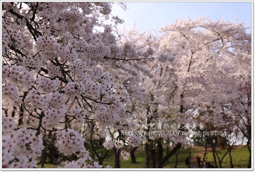 【日本】山形縣霞城公園 / 東北賞櫻勝地推薦 / 文末附上山