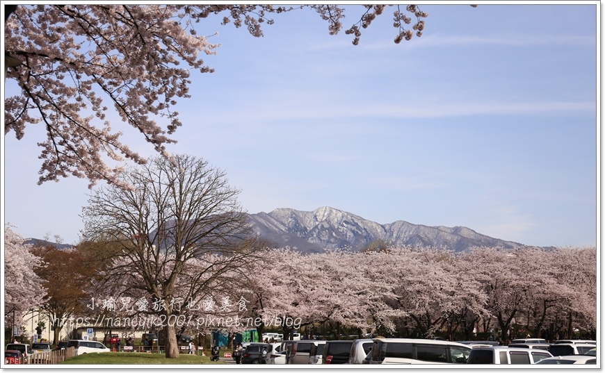 【日本】山形縣霞城公園 / 東北賞櫻勝地推薦 / 文末附上山