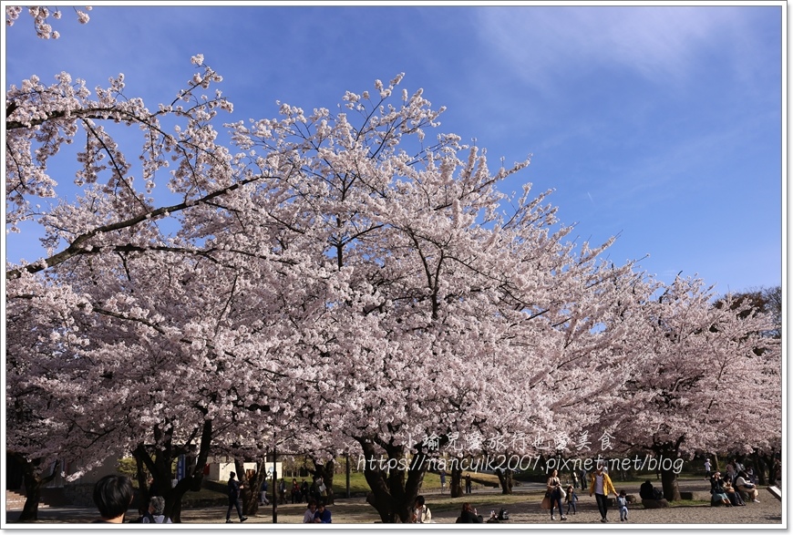 【日本】山形縣霞城公園 / 東北賞櫻勝地推薦 / 文末附上山