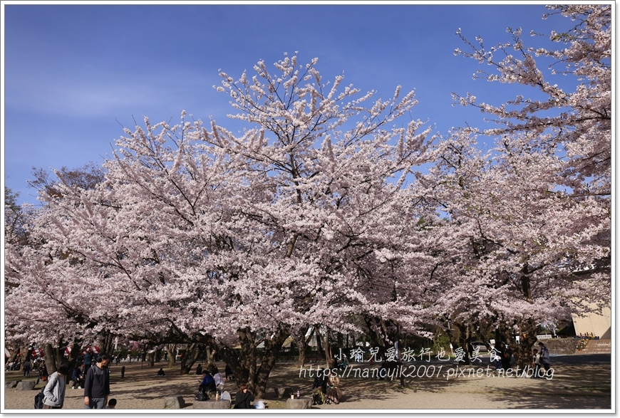 【日本】山形縣霞城公園 / 東北賞櫻勝地推薦 / 文末附上山