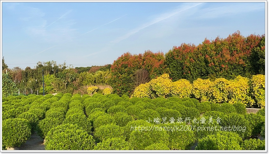 IMG_1542.JPG IMG_1542.JPG