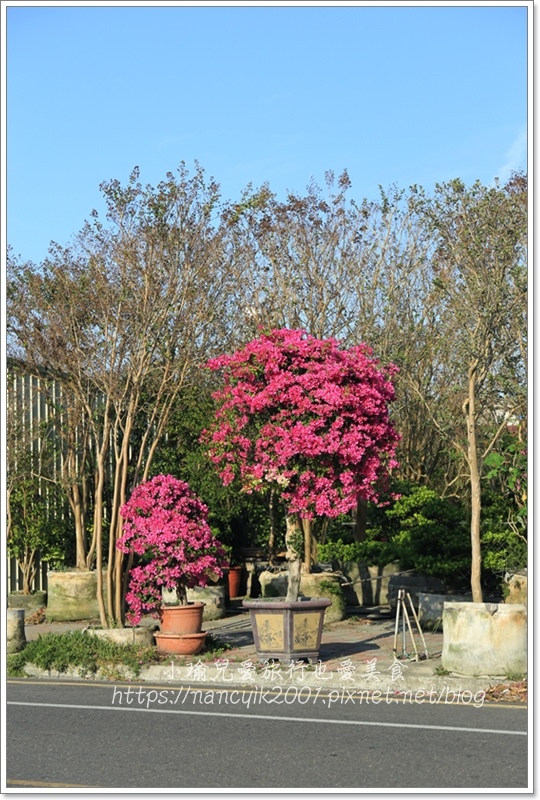 IMG_8188.JPG IMG_8188.JPG