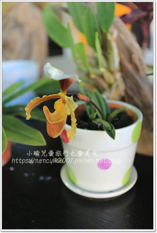 IMG_8189.JPG IMG_8189.JPG