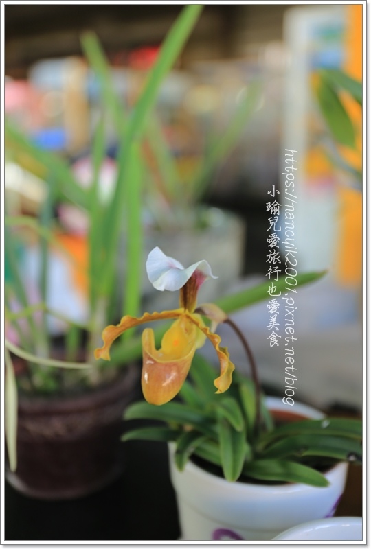 IMG_8190.JPG IMG_8190.JPG