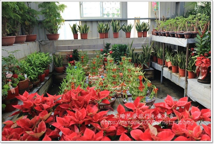 IMG_8183.JPG IMG_8183.JPG