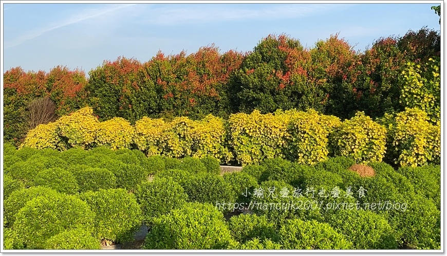 IMG_1543.JPG IMG_1543.JPG