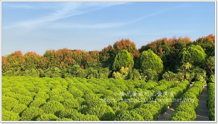 IMG_1546.JPG IMG_1546.JPG