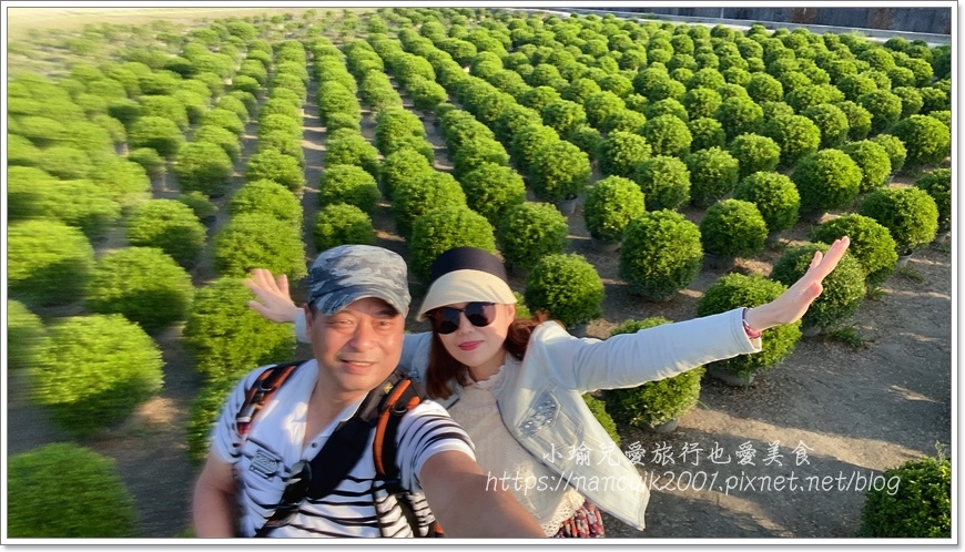 IMG_1534.JPG IMG_1534.JPG