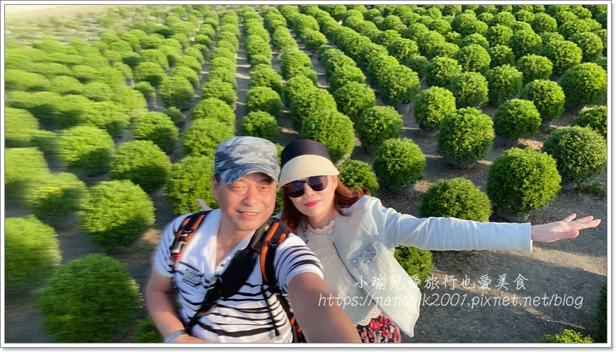 IMG_1535.JPG IMG_1535.JPG