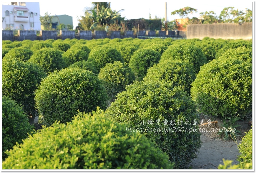 IMG_8204.JPG IMG_8204.JPG