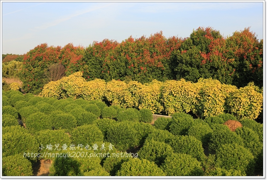 IMG_8202.JPG IMG_8202.JPG