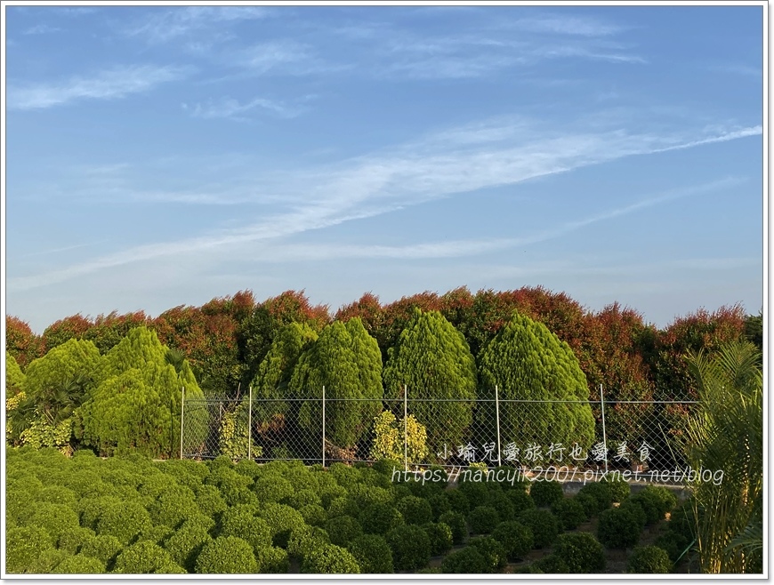 IMG_1549.JPG IMG_1549.JPG