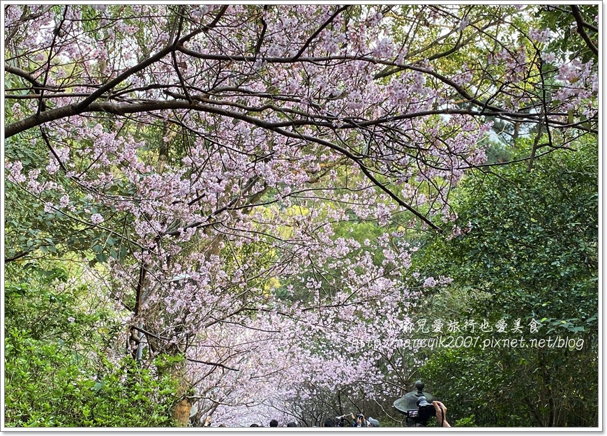 碧山巖5.JPG 碧山巖5.JPG