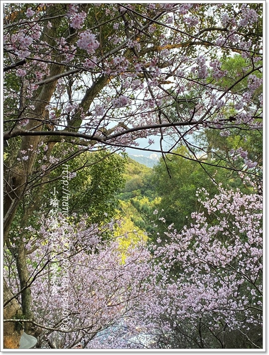 碧山巖2.JPG 碧山巖2.JPG