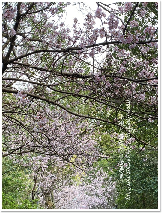 碧山巖3.JPG 碧山巖3.JPG